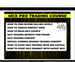 Being trader MCX Forex Pro Trading Course