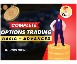 Wealth Secret Pure Option Trading (Basic to Advance) with Recording of 4 Live Classes