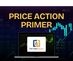 The Trade Square Price Action Primer