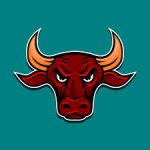 Beast Trading Club Price Action Course by Rahul Singh